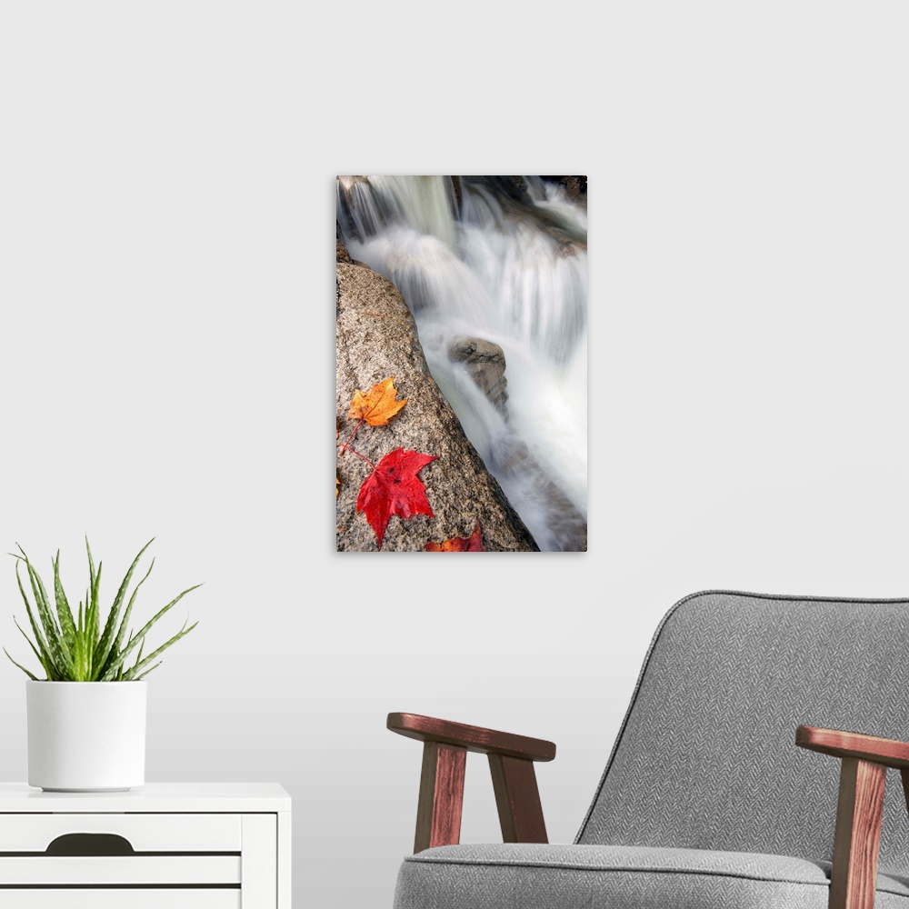A modern room featuring USA, New Hampshire, Kancamagus Hw, Rocky Gorge, Autumn colors and the gorge.
