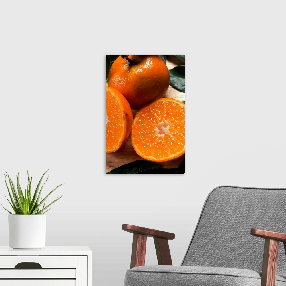 A modern room featuring Oranges