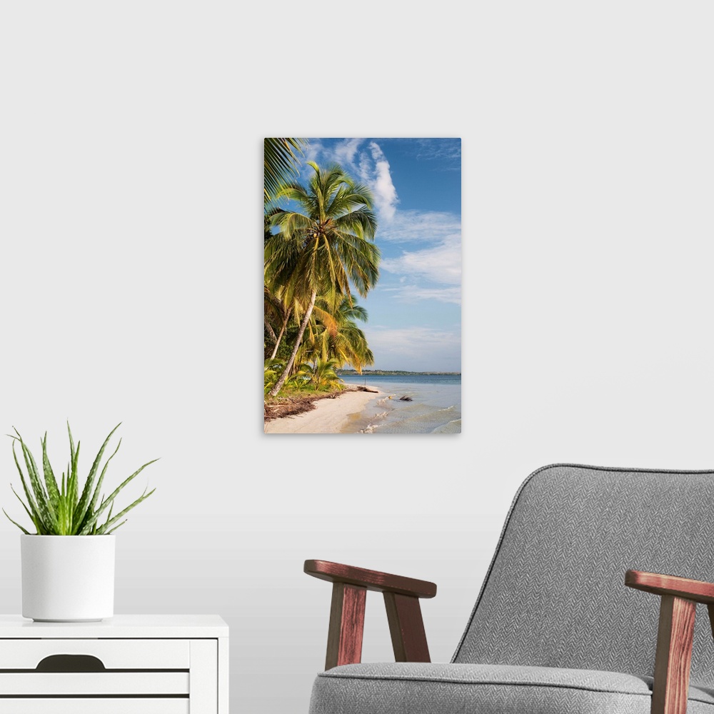A modern room featuring Panama, Bocas del Toro, Colon Island, Starfish beach