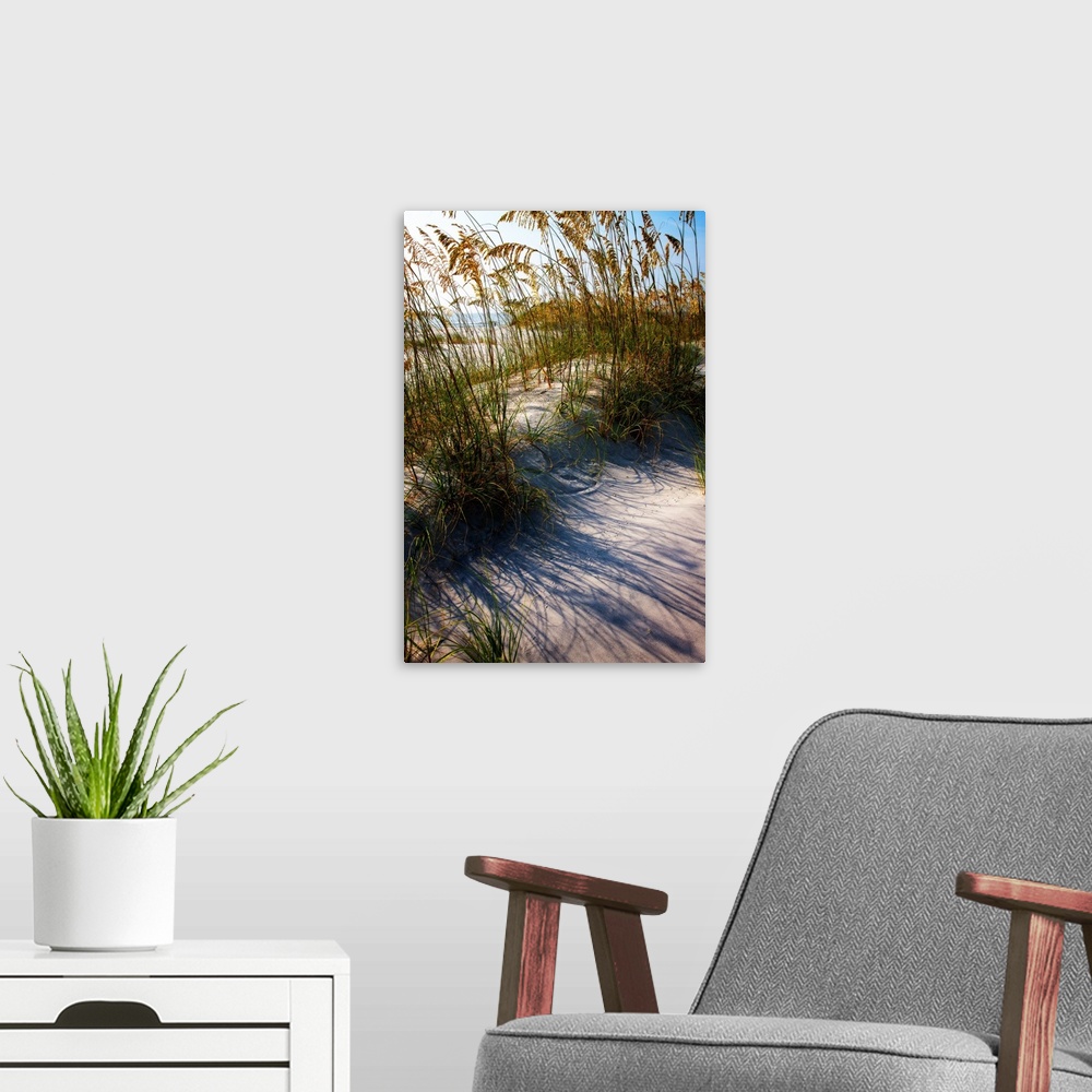 A modern room featuring Photograph of sea oats on top of a sand dune.