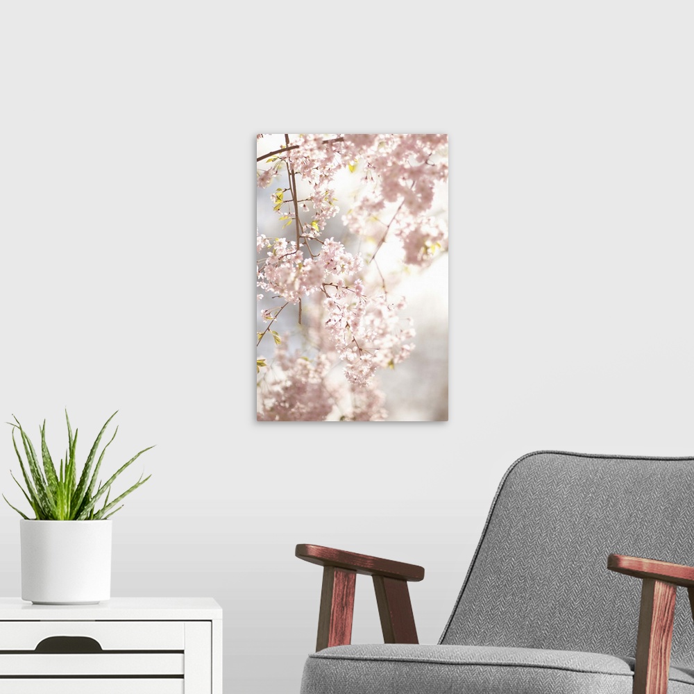 A modern room featuring Soft Blooms V