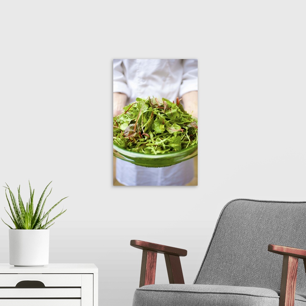 A modern room featuring CHEF HOLDING PLATE OF VERDANT GREEN SALAD