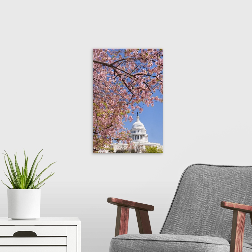 A modern room featuring Cherry blossoms in front of Capitol building in Washington D.C.