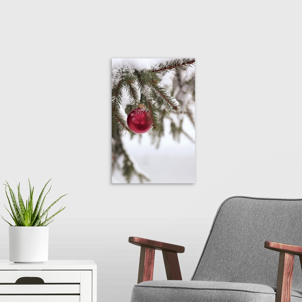 A modern room featuring Christmas ornament on snow-covered tree