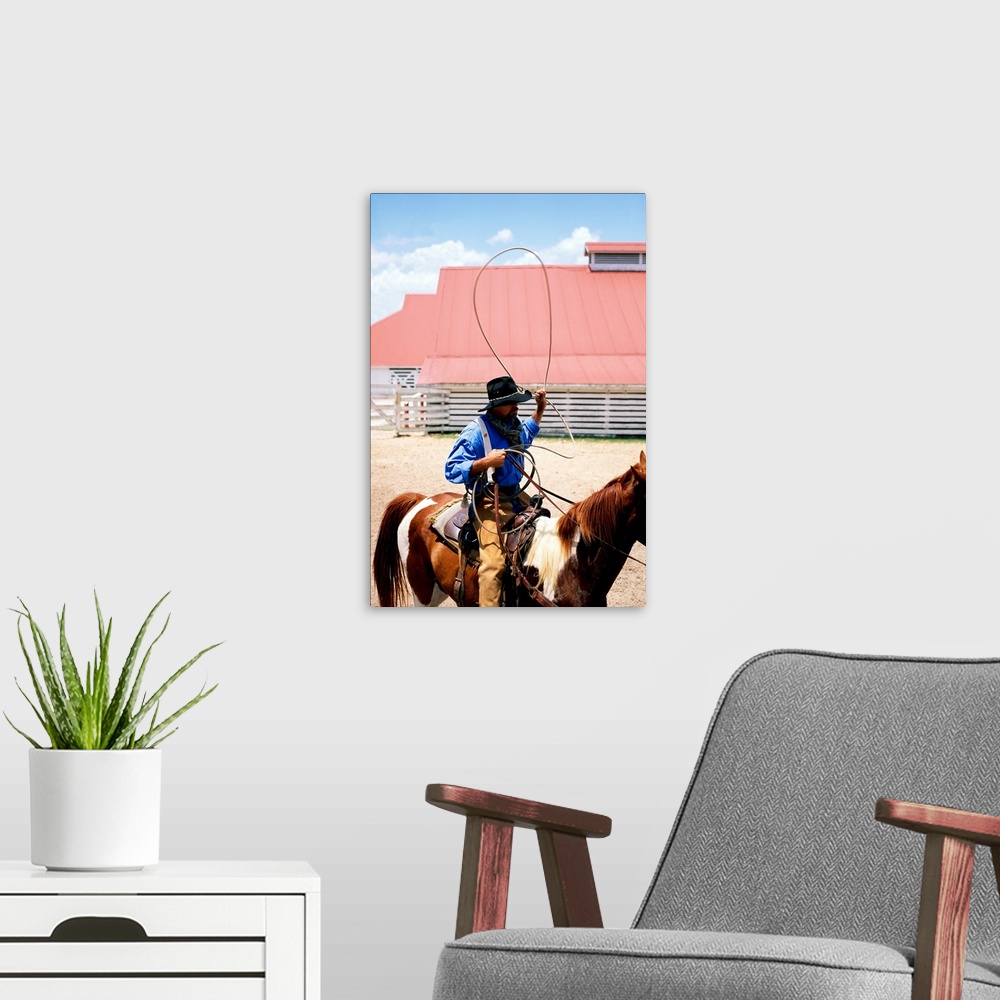 A modern room featuring Cowboy on horseback with lasso, George Ranch, Texas