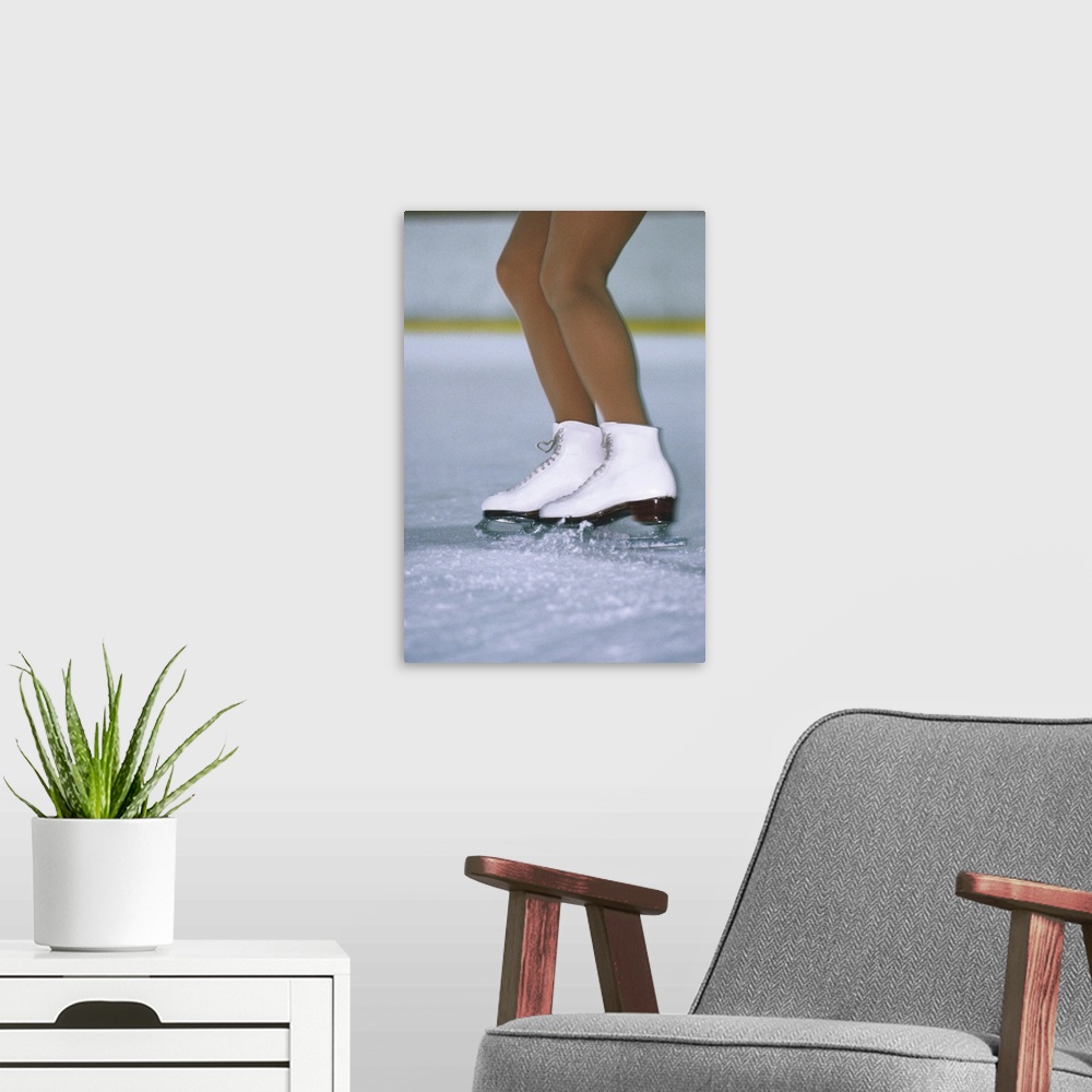 A modern room featuring Figure Skater Stopping on Ice