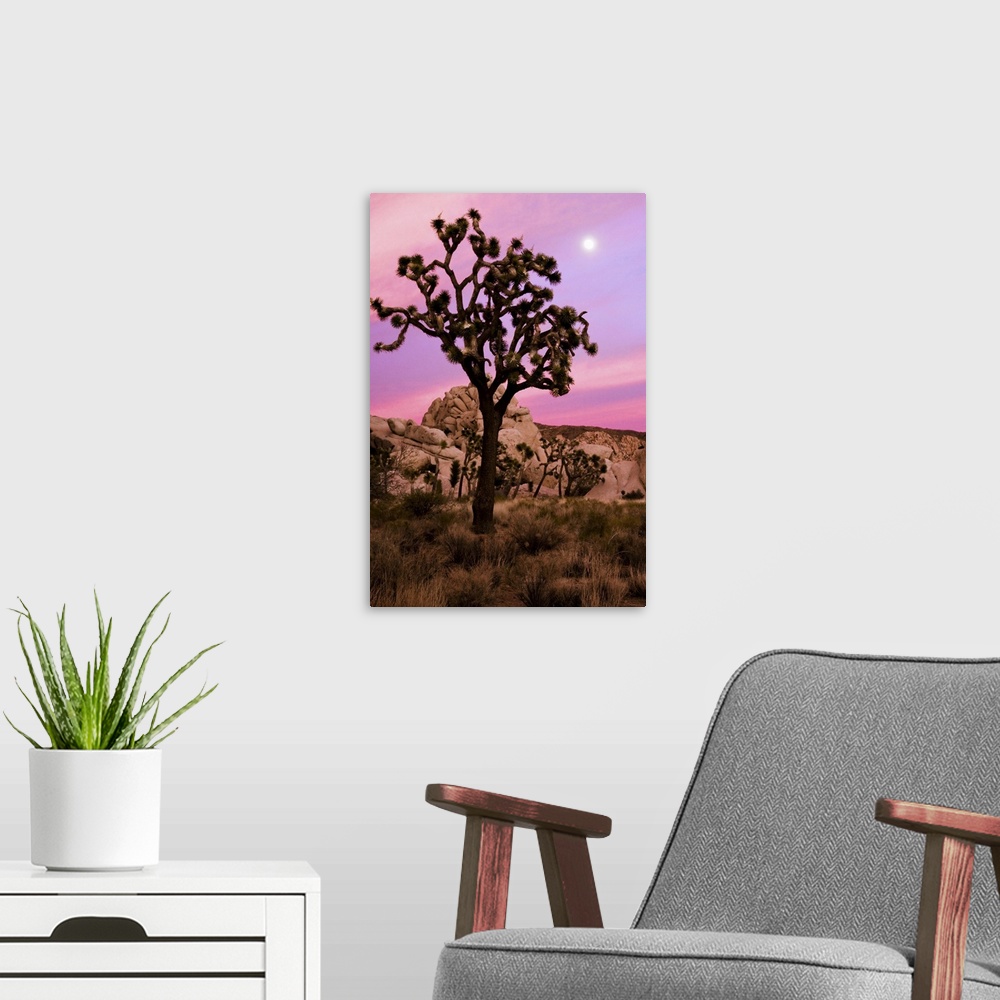 A modern room featuring A full moon and a Joshua tree against a pink sky just after sunset. The Real Hidden Valley, Joshu...