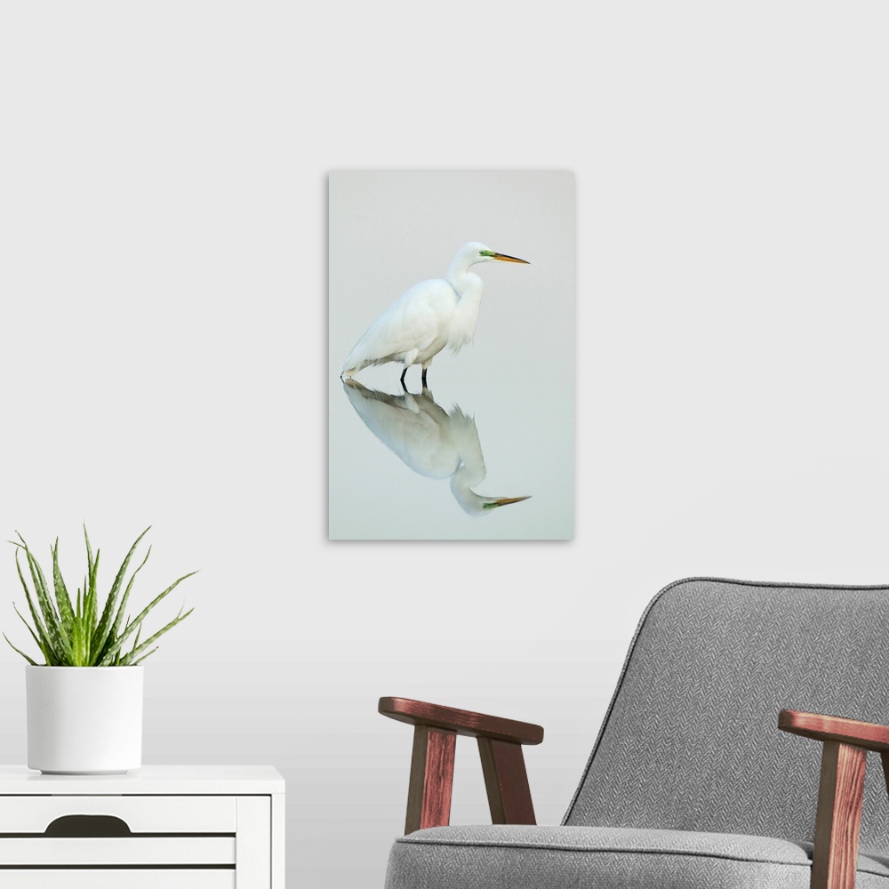 A modern room featuring Great Egret Reflected