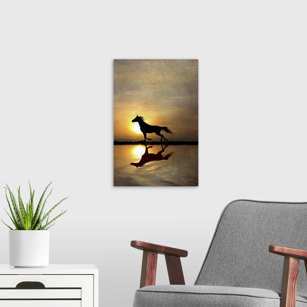 A modern room featuring Silhouette of horse running along beach with reflection and sunset.