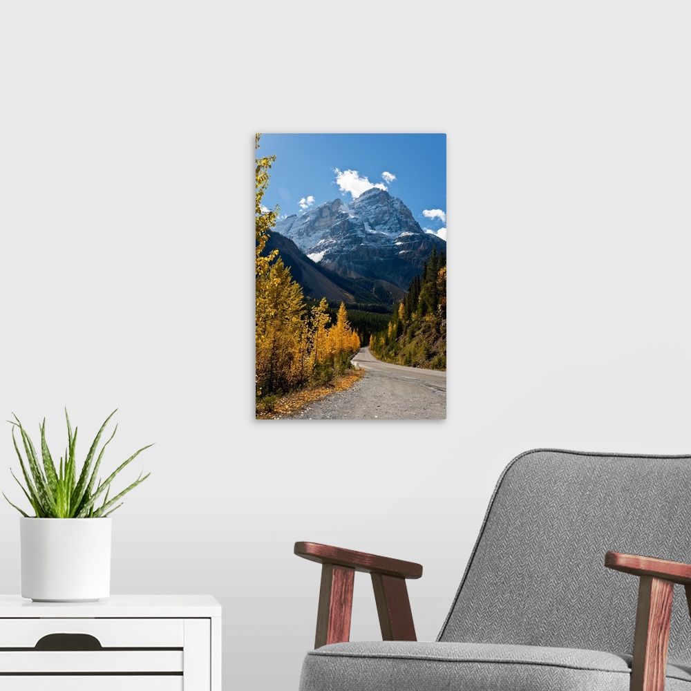 A modern room featuring Snow capped mountain and winding road in Kicking Horse in Canadian Rockies.