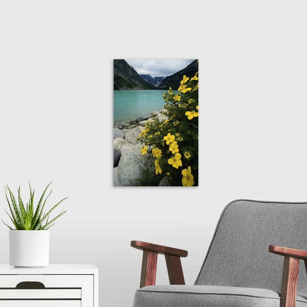 A modern room featuring 'Lake Louise, Banff National Park'