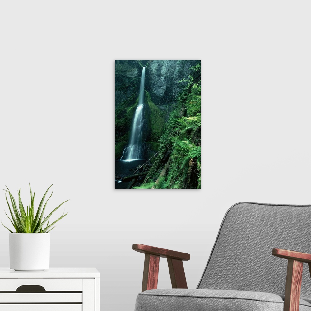 A modern room featuring Marymere Falls in Olympic National Park