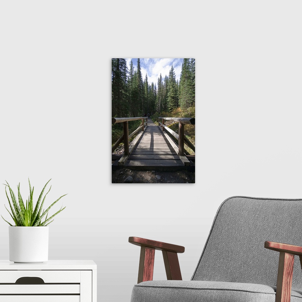 A modern room featuring The hiking trail to mountains in moraine lake area, banff national park, Alberta, canada