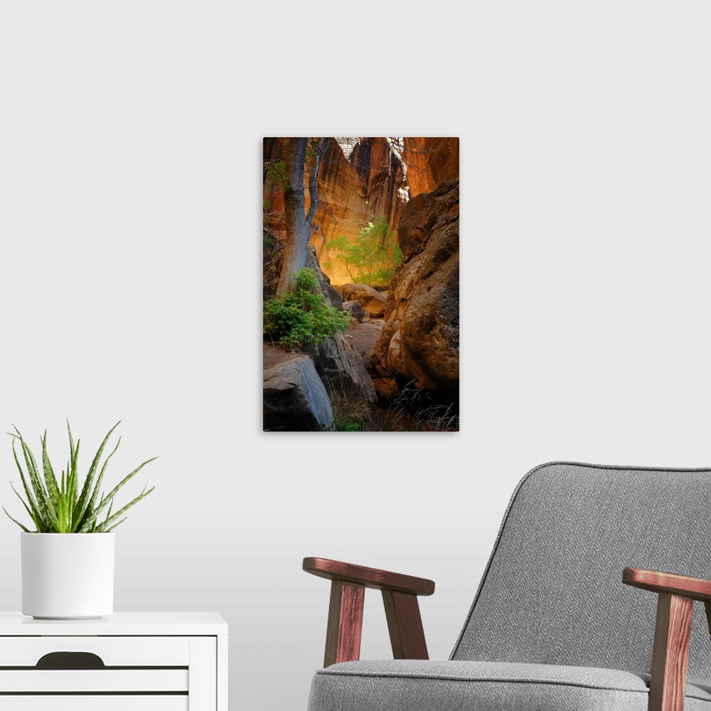 A modern room featuring The Narrows Zion Canyon National Park, Utah