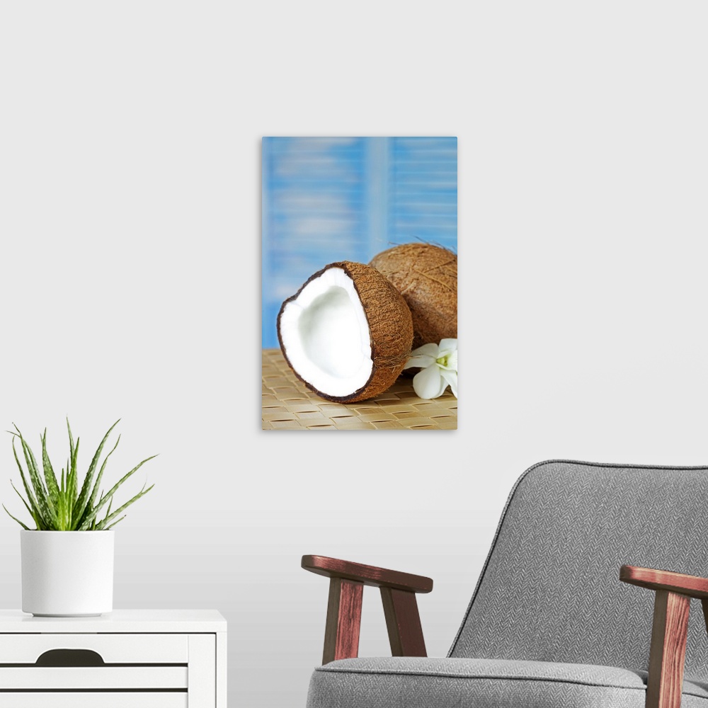 A modern room featuring Open coconut in a tropical setting