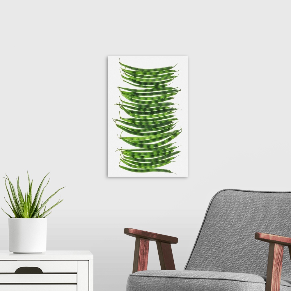 A modern room featuring Organic green string beans on white background