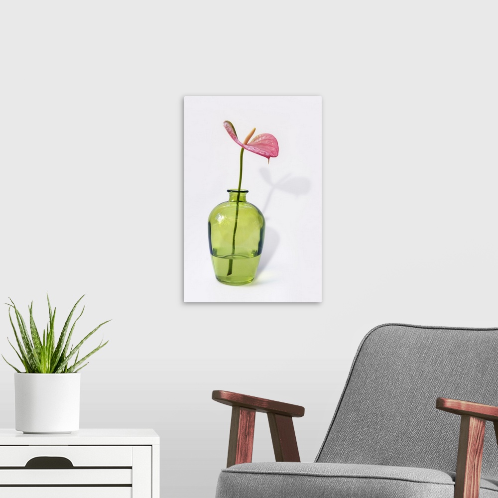 A modern room featuring Pink anthurium flower in a green glass vase