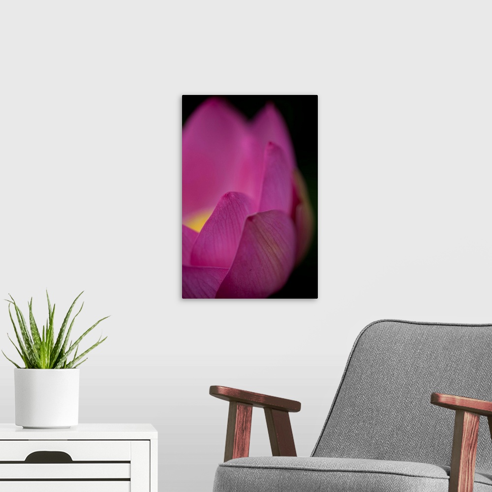 A modern room featuring Power of Lotus