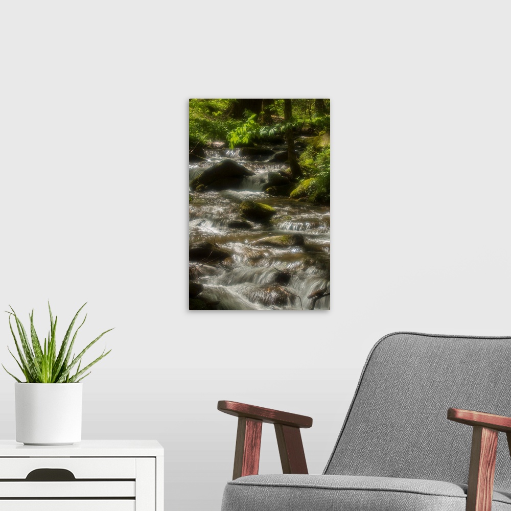 A modern room featuring Radiant water, Great Smoky Mountains, in spring.