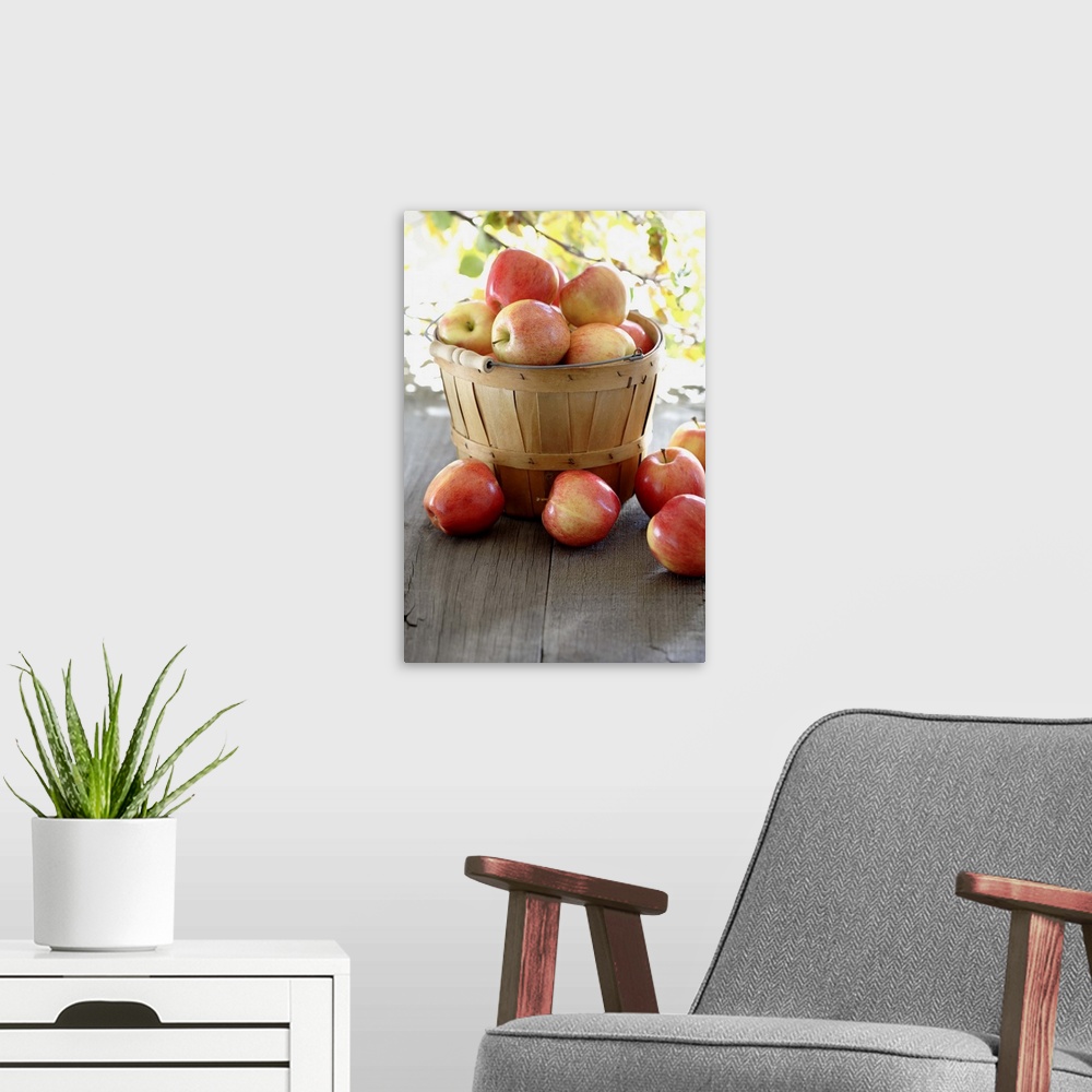 A modern room featuring Red apples overflowing basked
