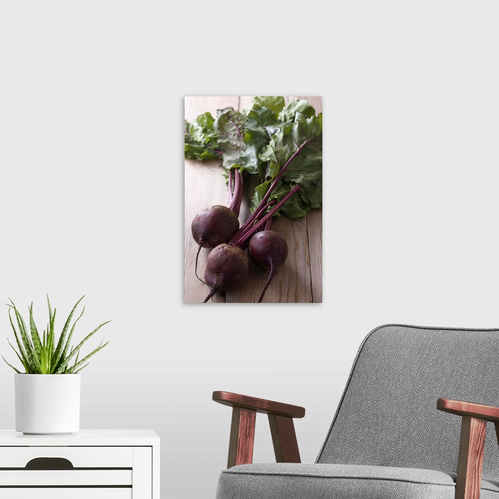 A modern room featuring Red Beet