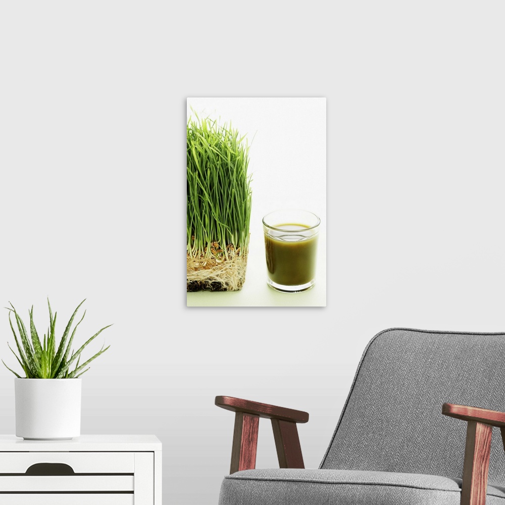 A modern room featuring Shot of wheat grass