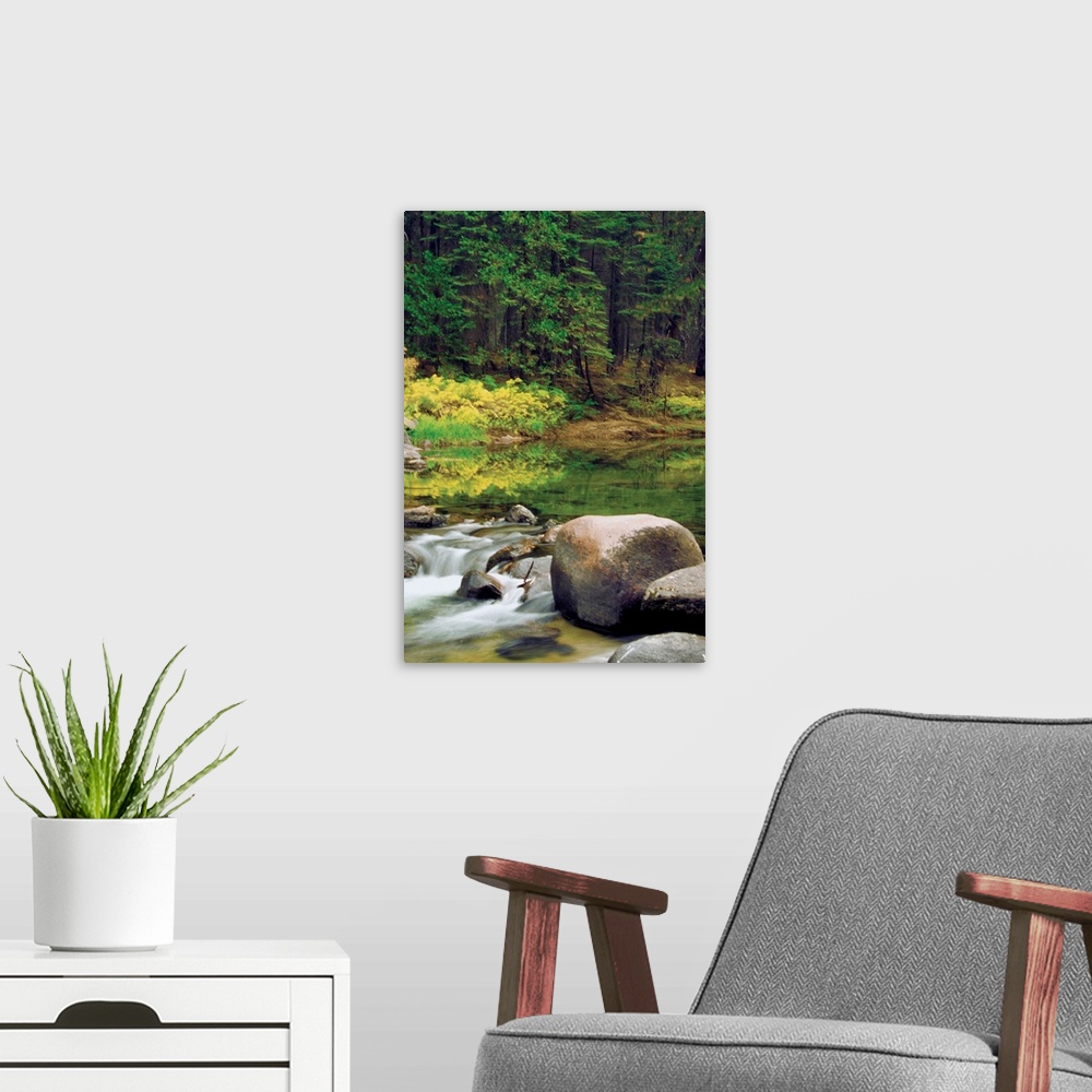 A modern room featuring Stream passing through a forest, Yosemite National Park, Mariposa County, California, USA