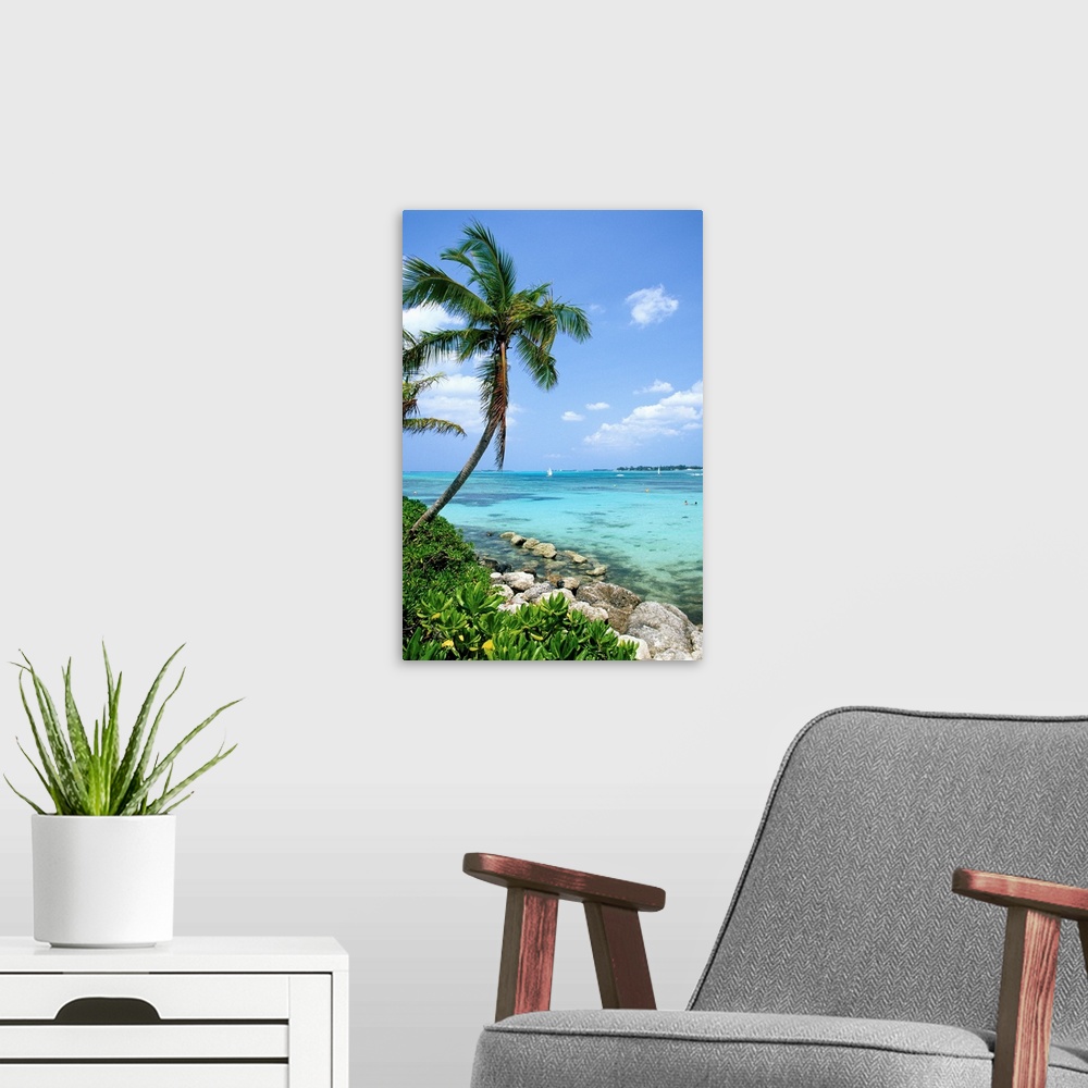 Coral Beach with Palm Tree – style with a canvas print – Photowall