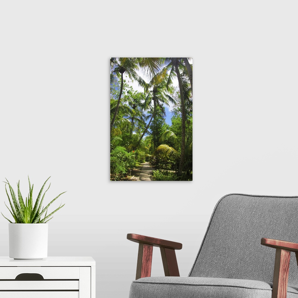 A modern room featuring Path in lush green palmtree garden.
