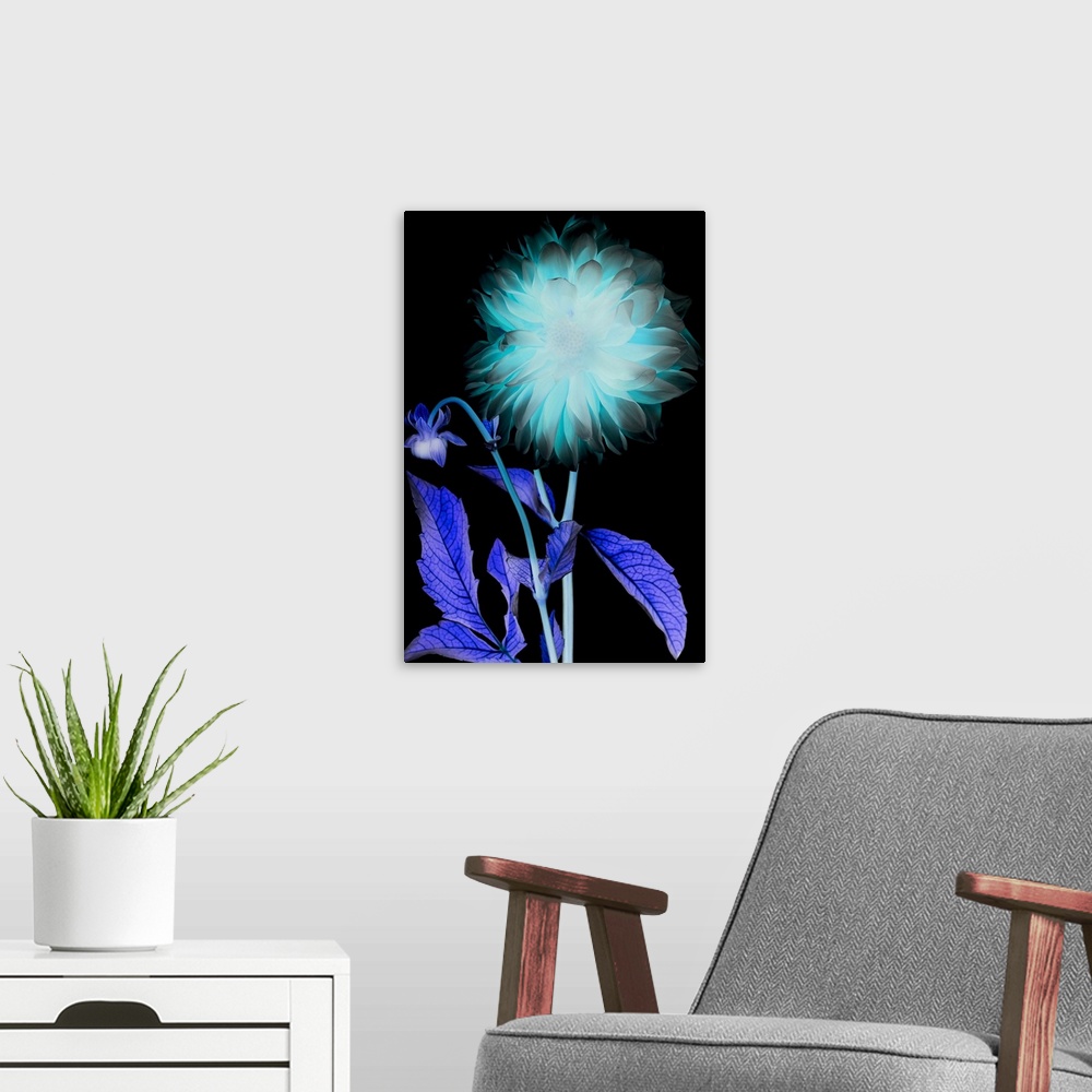 A modern room featuring X-ray like image of a flower