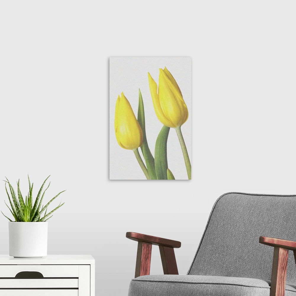 A modern room featuring Yellow tulips