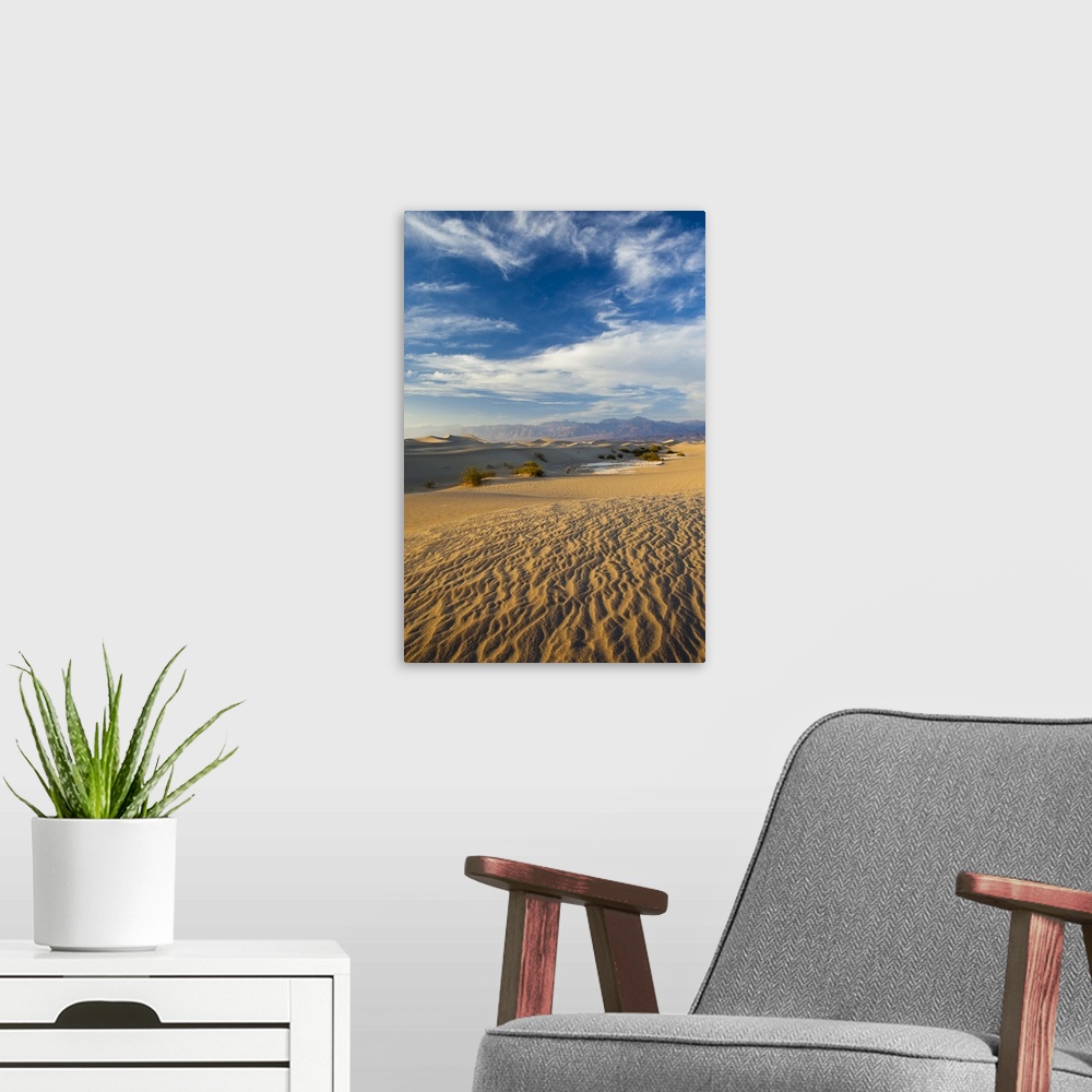 A modern room featuring USA, California, Death Valley National Park, Mesquite Flat Sand Dunes, late afternoon
