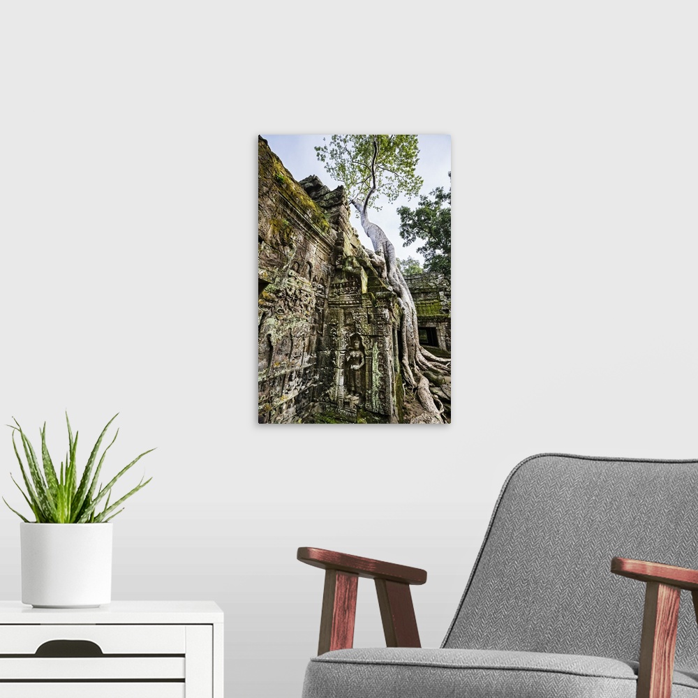 A modern room featuring Cambodia, Ta Prohm, Siem Reap Province. The ruins of the Buddhist temple of Ta Prohm.