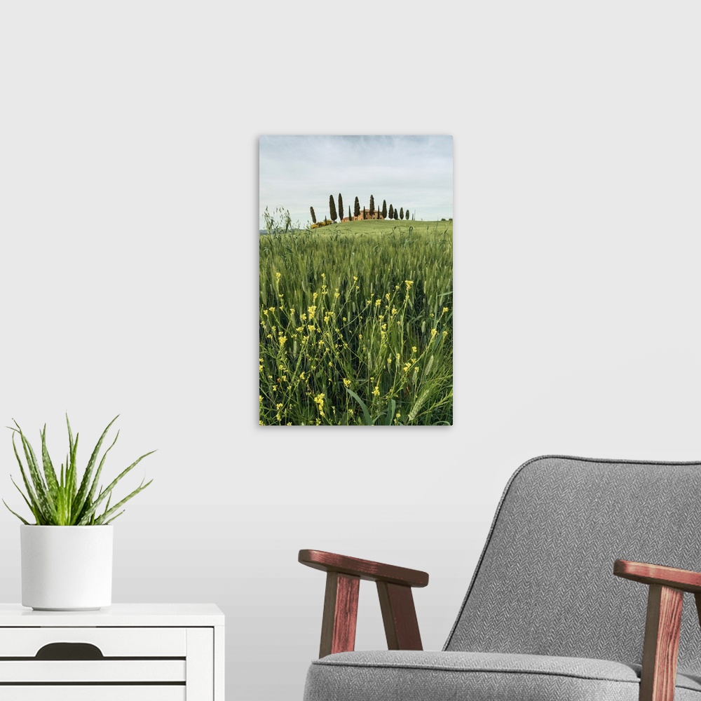 A modern room featuring Countryhouse near Pienza during a cloudy sunset in spring, Val d'Orcia, Tuscany, Italy
