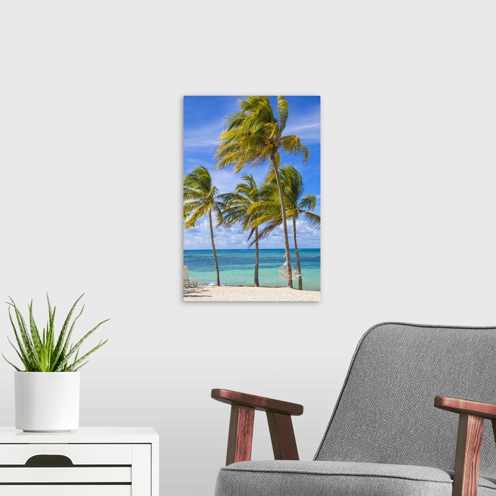 A modern room featuring Cuba, Holguin Province, Hammock between palm trees on Playa Guardalvaca.