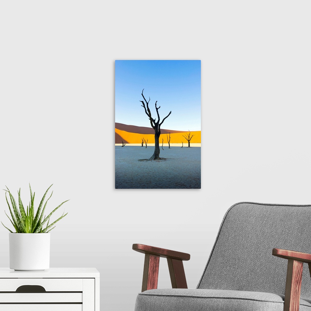 A modern room featuring Dead Vlei, Sossusvlei, Namib desert at sunrise, Namibia, Africa.