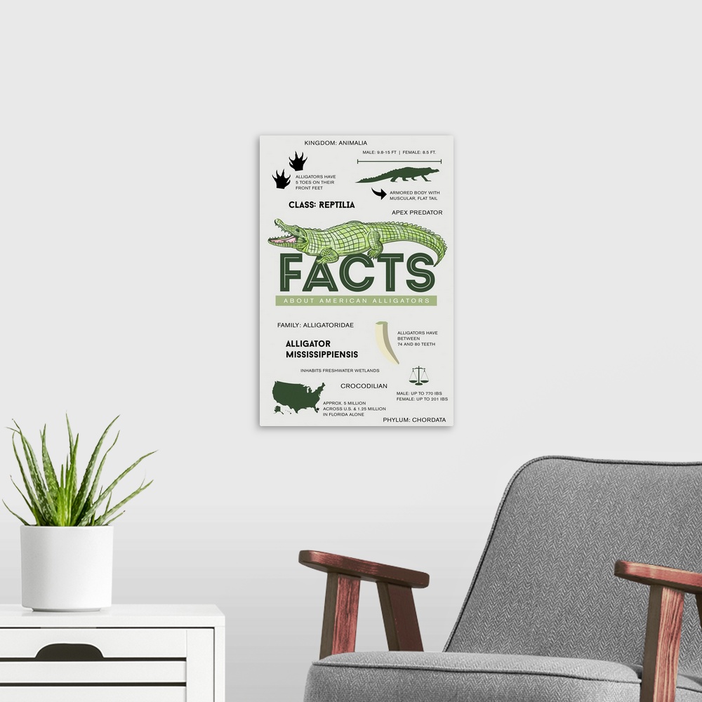 A modern room featuring Facts About American Alligators