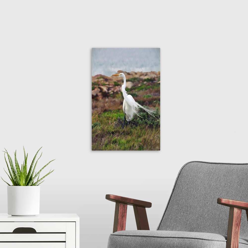 A modern room featuring A great egret maintains its balance on a windy day in Pebble Beach. Often at least three-feet tal...