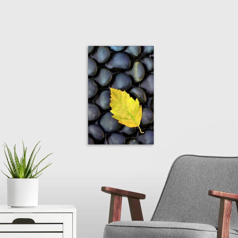 A modern room featuring Macro photo of a single yellow leaf resting on round black stones.