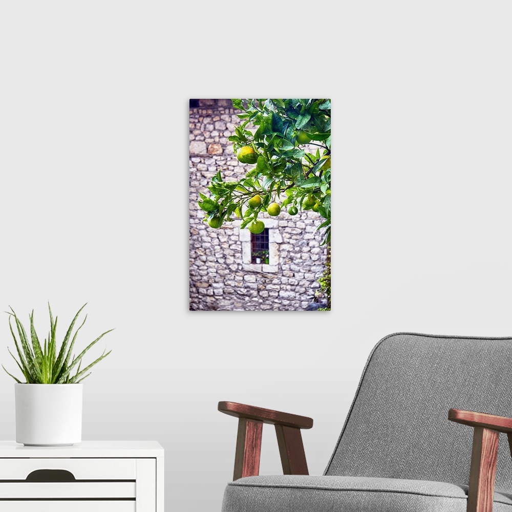 A modern room featuring A tree with ripening lemons in front of a stone building with a small window.