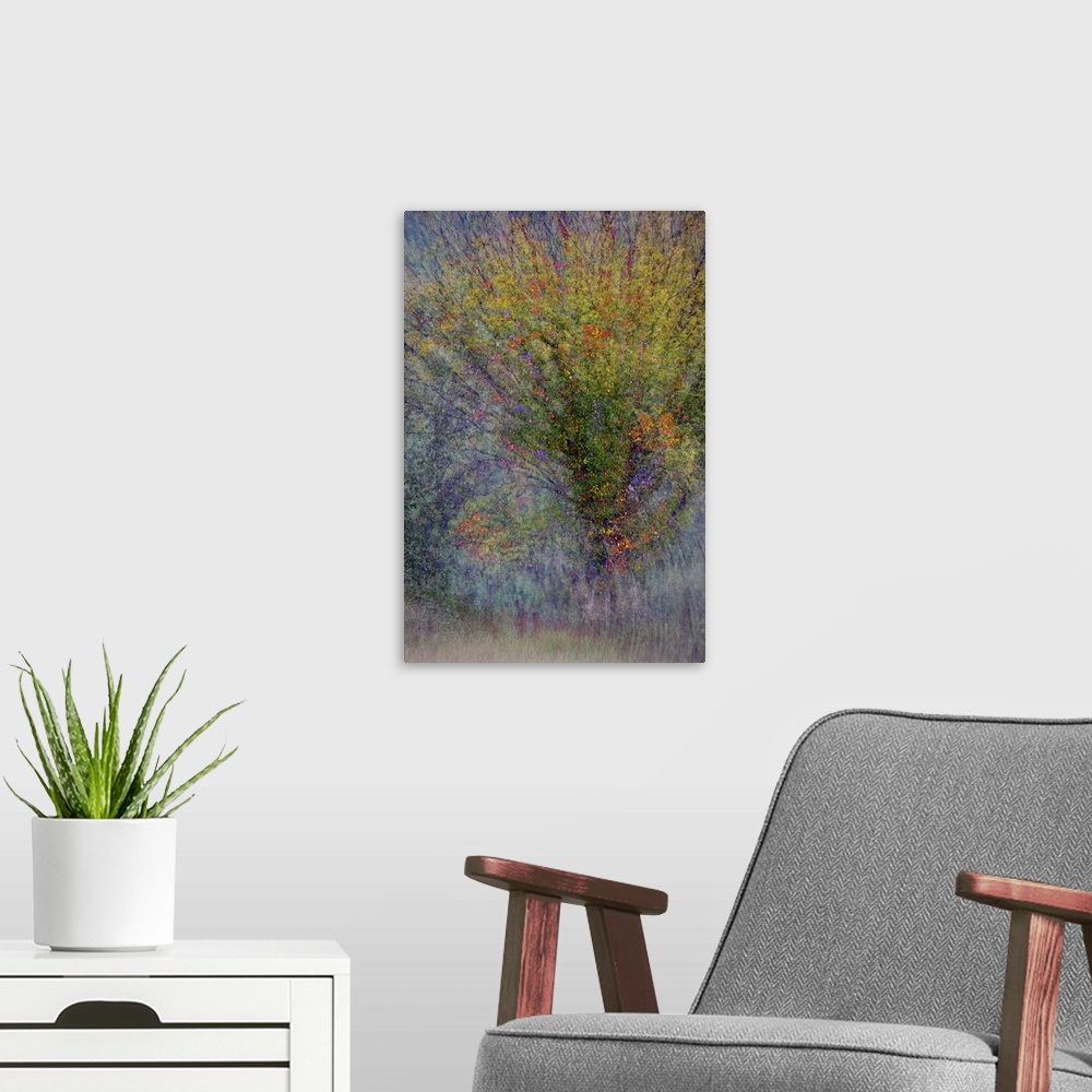 A modern room featuring An abstract photograph of a tree in autumn foliage.