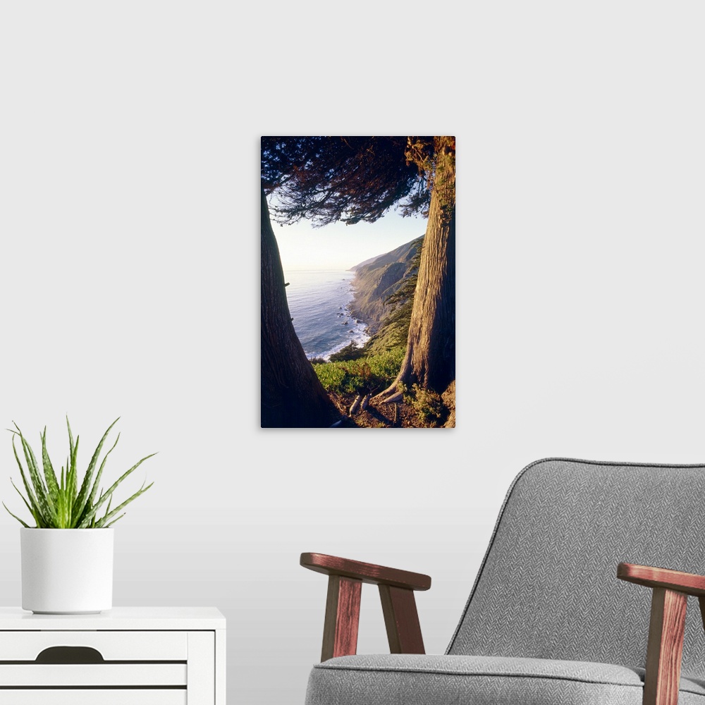 A modern room featuring Coastal View Between Trees, Ragged Point, Big Sur Coast, California