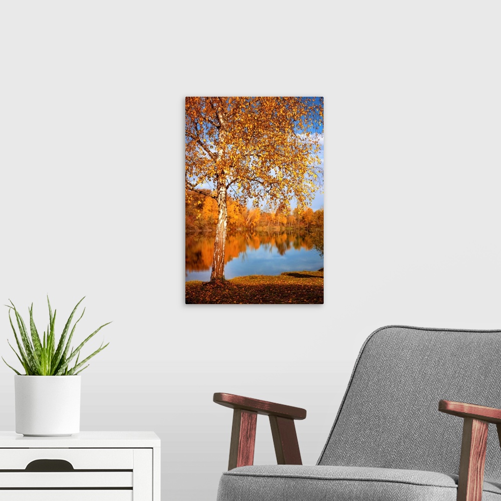 A modern room featuring Fall landscape with a pond surrounded by trees