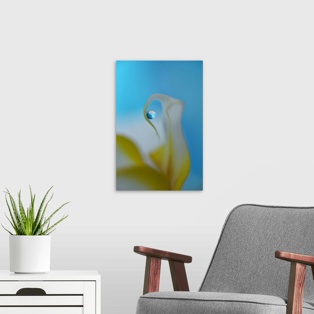 A modern room featuring A macro photograph of a yellow and white flower with a focus on a water droplet hanging from one ...