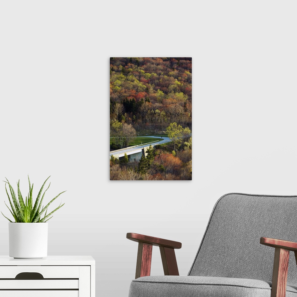 A modern room featuring High angle view of Blue Ridge Parkway winding through trees, spring, North Carolina