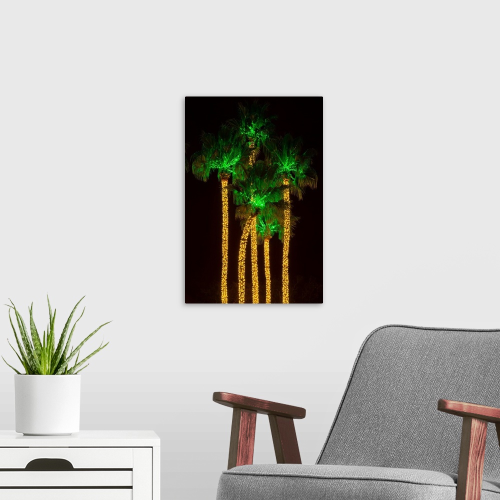 A modern room featuring Illuminated palm trees at Dana Point Harbor, Dana Point, Orange County, California, USA