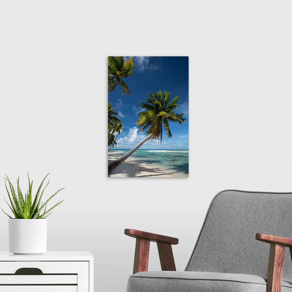 A modern room featuring Palm trees on the beach, Bora Bora, Society Islands, French Polynesia