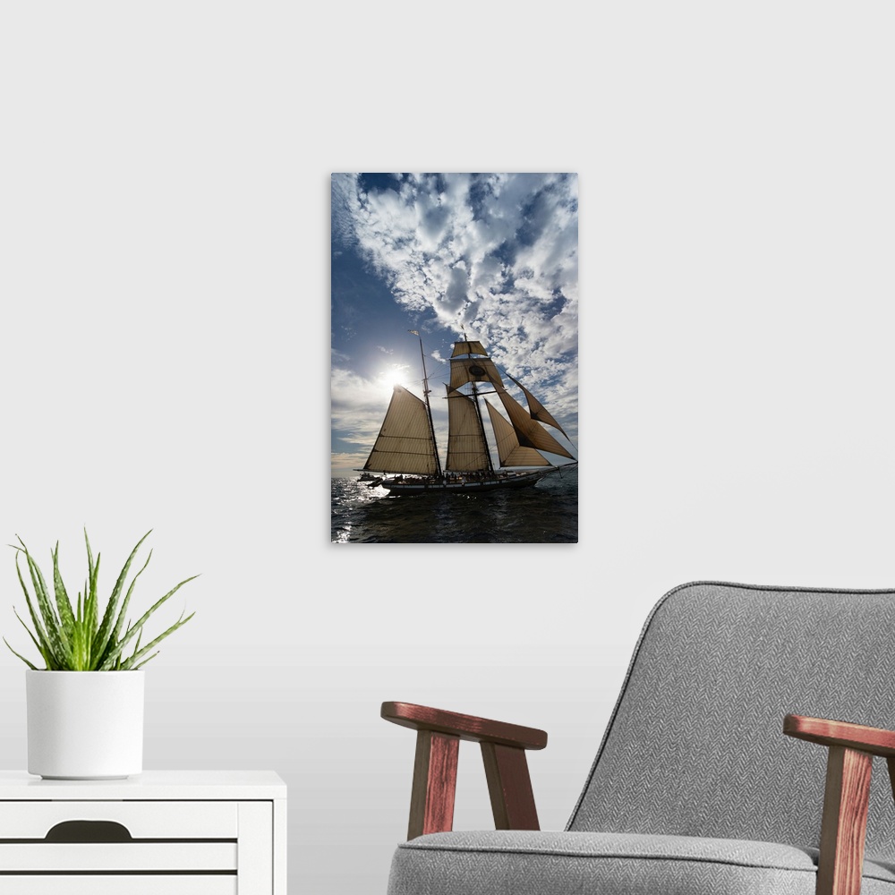 A modern room featuring Tall ship in the Pacific Ocean, Dana Point Harbor, Dana Point, Orange County, California, USA