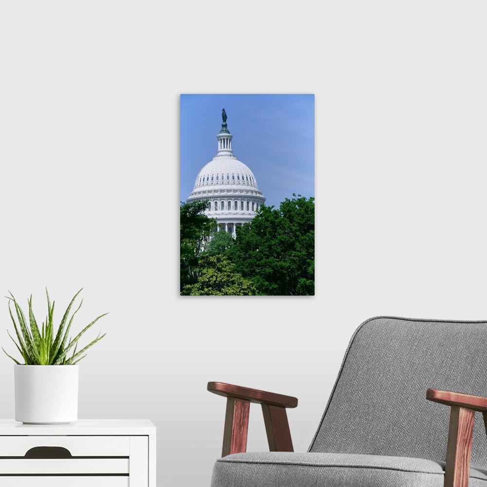 A modern room featuring Trees in spring and U.S. Capitol Dome with Statue of Freedom statue overlooking Washington D.C.