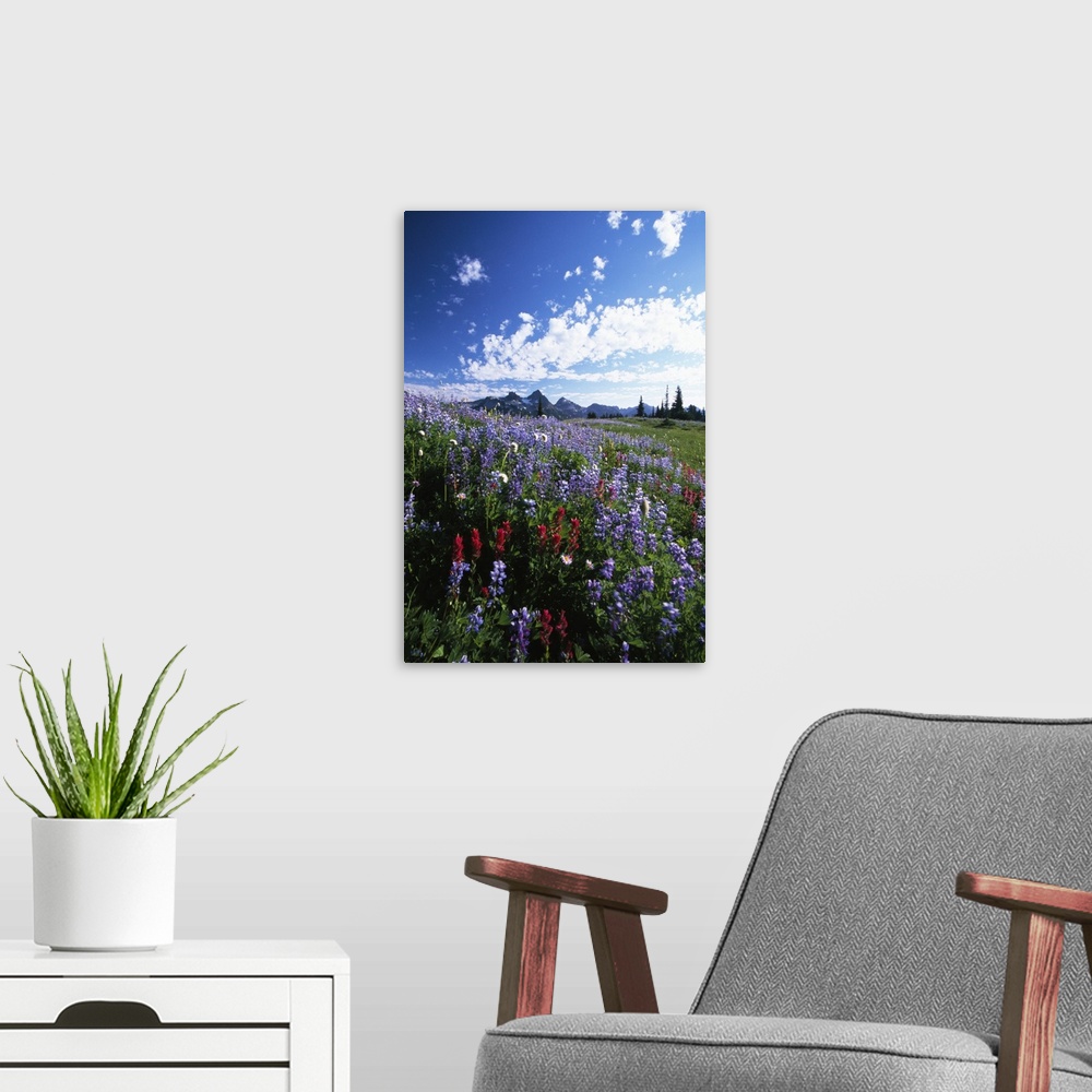 A modern room featuring Portrait photograph on a big canvas of vibrant wildflowers in a vast meadow, the Tattoosh Mountai...
